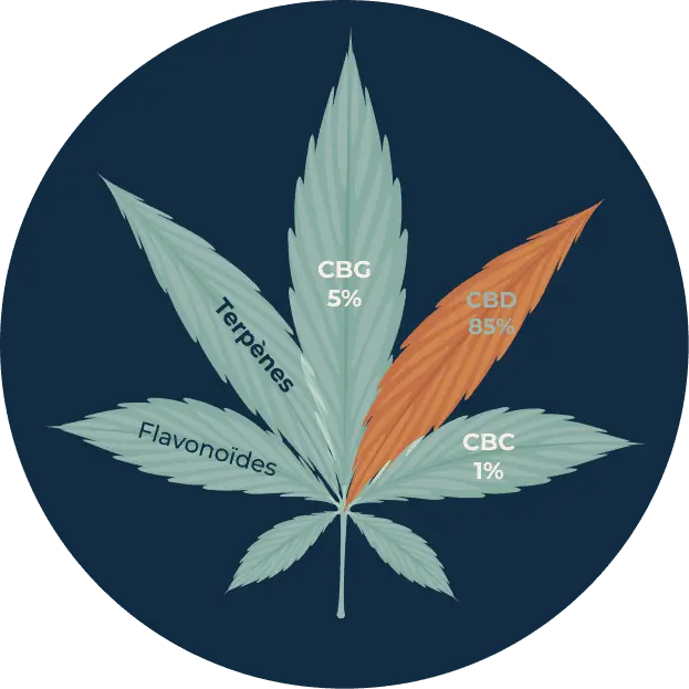 Phytocannabinoide