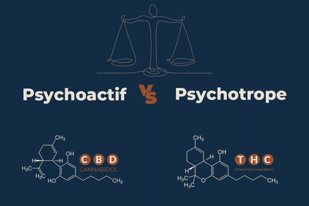 cbd vs thc