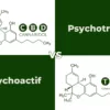 CBD-VS-thc