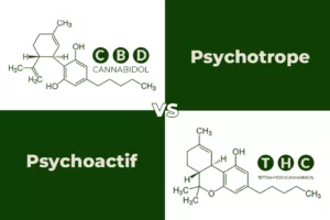 CBD-VS-thc