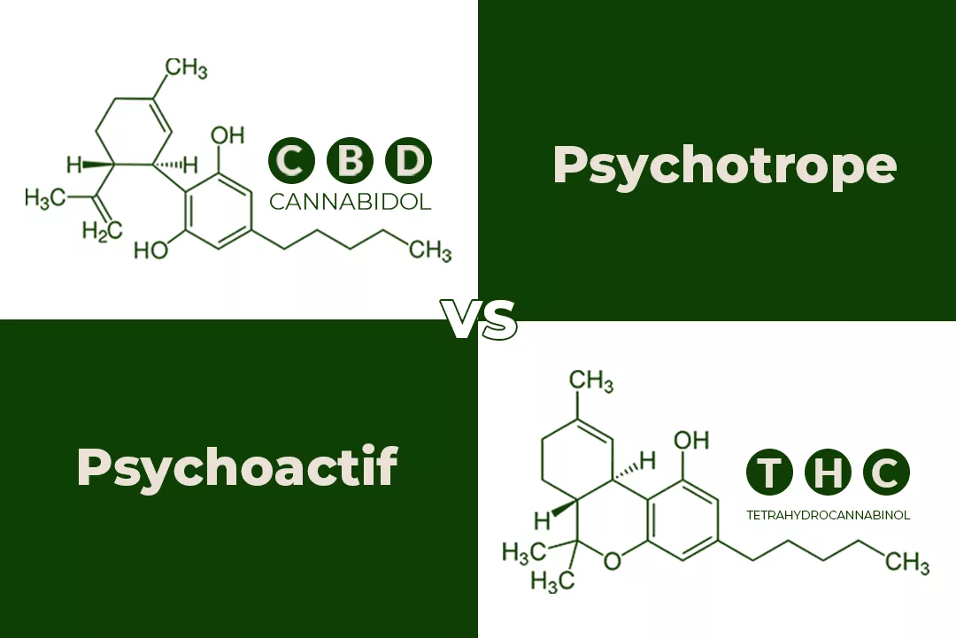 CBD-VS-thc