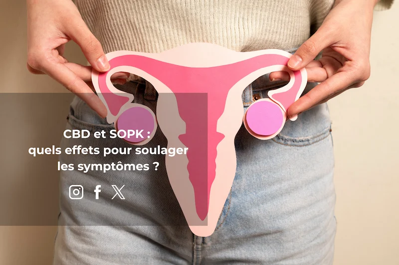 CBD symptômes du SOPK Syndrome des ovaires polykystiques