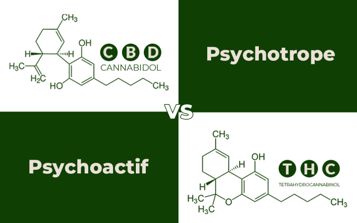 CBD-VS-thc